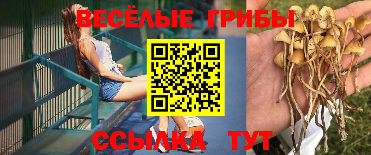 Воткинск  Псилоцибиновые грибы Magic Shrooms  Псилоцибиновые грибы Cubensis  Вход с VPN 